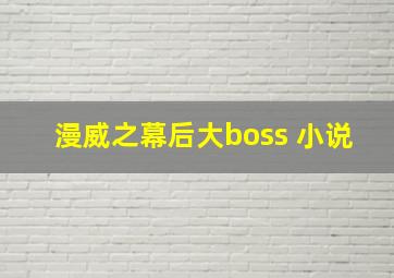 漫威之幕后大boss 小说